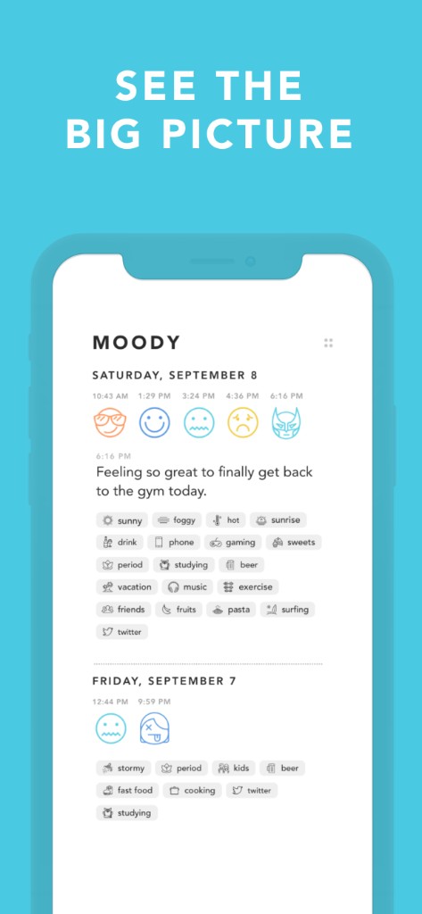Moody screenshot: journal feed by day